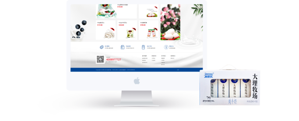 昆明奧遠(yuǎn)科技 專業(yè)網(wǎng)站建設(shè)與新媒體運營服務(wù)專家