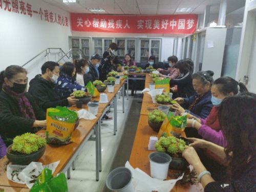 相聚家園,共話未來(lái)